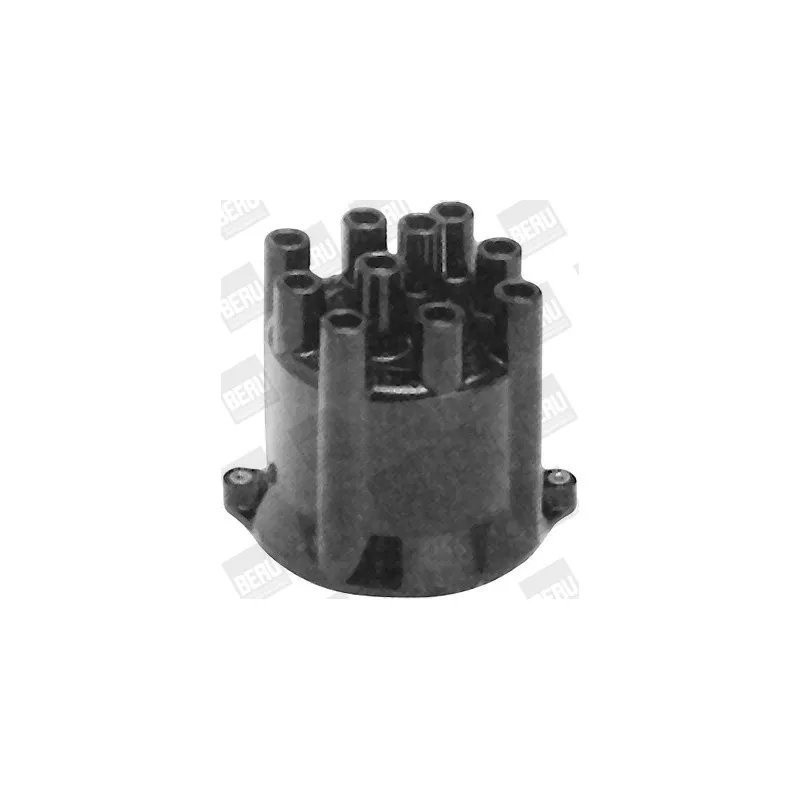 Tête d'allumeur BERU VK495