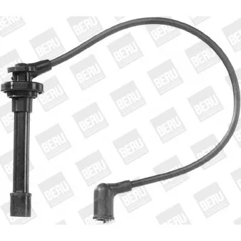 Kit de câbles d'allumage BERU ZEF889