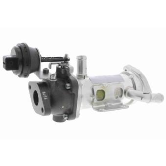 Radiateur, réaspiration des gaz d'échappement VEMO V42-63-0015