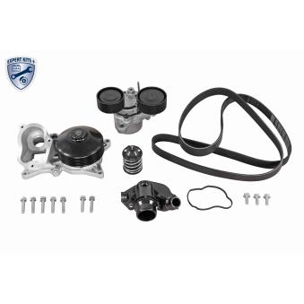 Pompe à eau + kit de courroie de distribution VAICO V20-50103-BEK