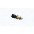 Sonde de température, liquide de refroidissement MAGNETI MARELLI 171925011050 - Visuel 1