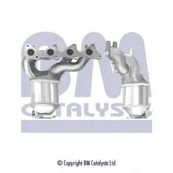 Catalyseur BM CATALYSTS BM91783H