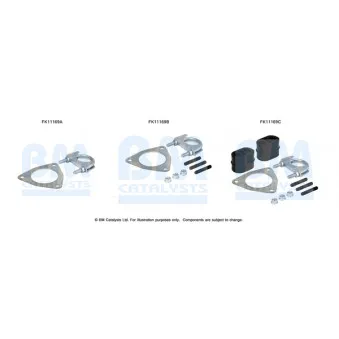 Kit d'assemblage, filtre à particules/ à suie BM CATALYSTS FK11169