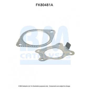 Kit d'assemblage, catalyseur BM CATALYSTS FK80481