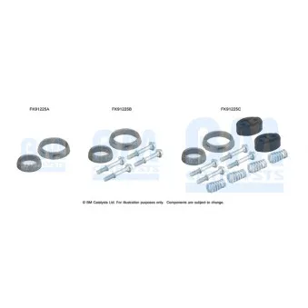 Kit d'assemblage, catalyseur BM CATALYSTS FK91225