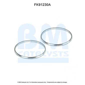 Kit d'assemblage, catalyseur BM CATALYSTS