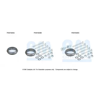 Kit d'assemblage, catalyseur BM CATALYSTS FK91645