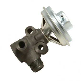 Vanne EGR HITACHI 138487