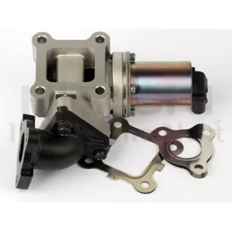 Vanne EGR HITACHI 2508476