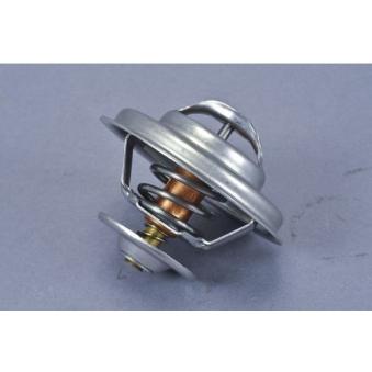 Thermostat d'eau AUTOMEGA 160032710