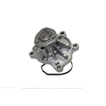 Pompe à eau AUTOMEGA