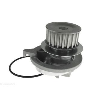 Pompe à eau AUTOMEGA