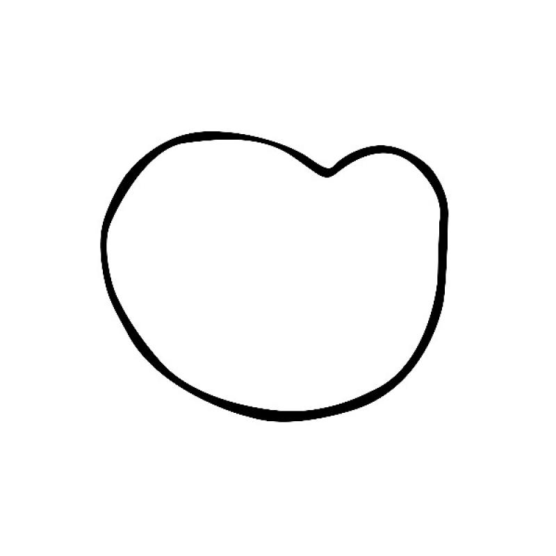 Pompe à eau VALEO 506865 - Visuel 2