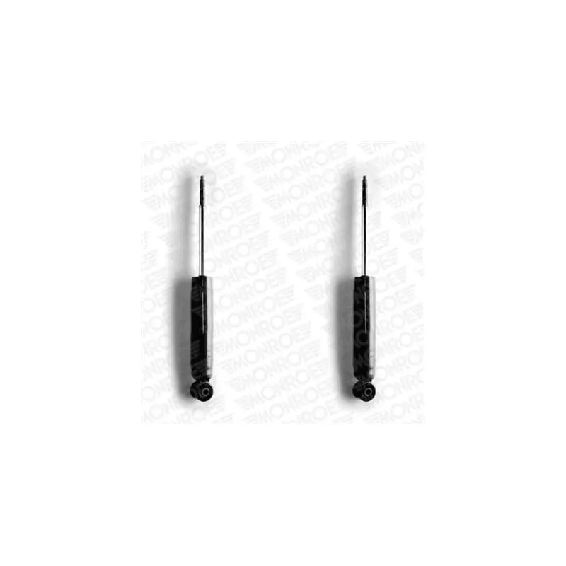 Jeu de 2 Amortisseurs avant MONROE D7010