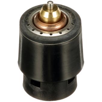 Thermostat d'eau GATES