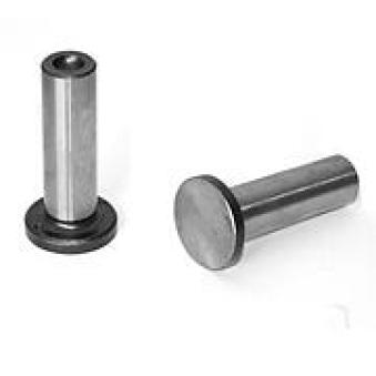 Poussoir de soupape AE FOL85