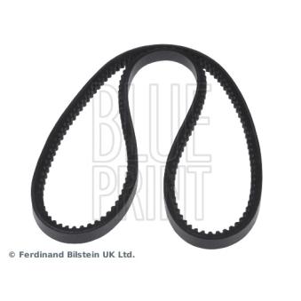 Courroie trapézoïdale BLUE PRINT AD10V800
