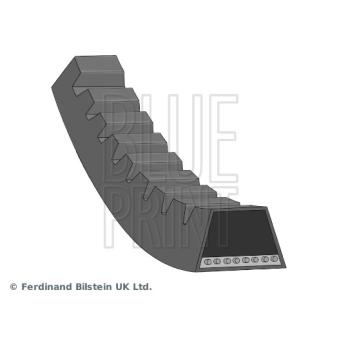 Courroie trapézoïdale BLUE PRINT
