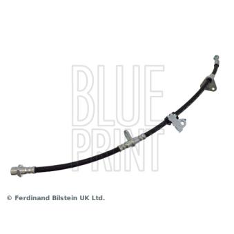 Flexible de frein BLUE PRINT