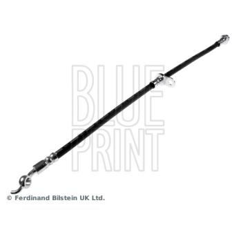 Flexible de frein BLUE PRINT