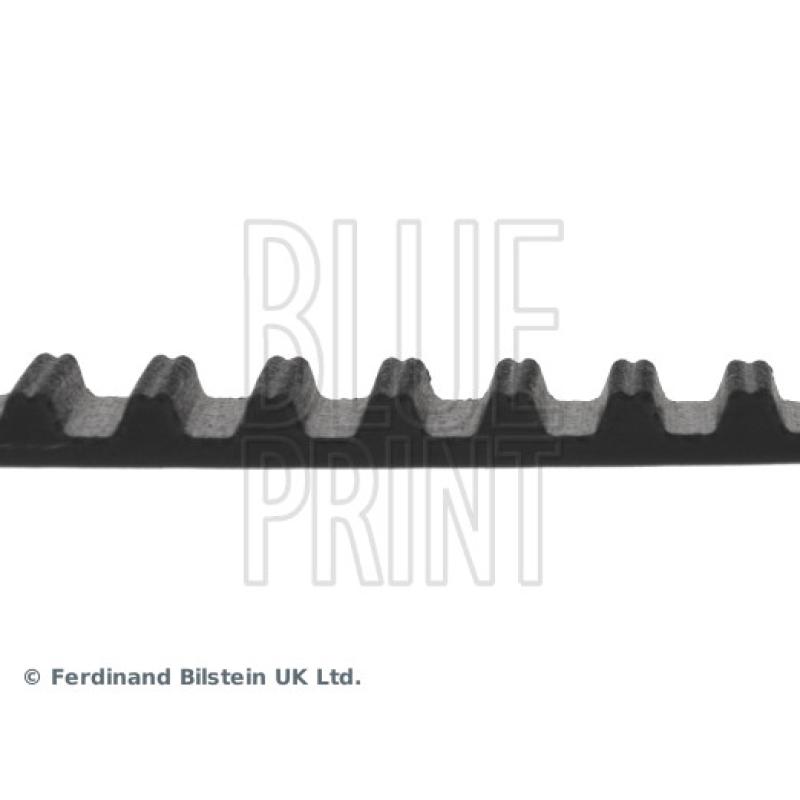 Courroie crantée BLUE PRINT ADK87520 - Visuel 1