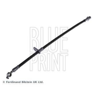 Flexible de frein BLUE PRINT