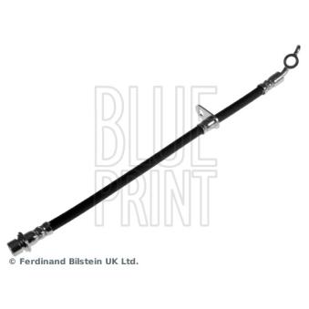 Flexible de frein arrière droit BLUE PRINT