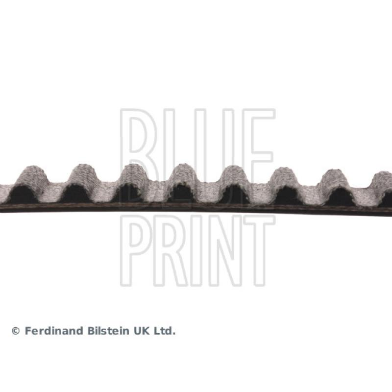 Courroie crantée BLUE PRINT ADZ97516 - Visuel 1