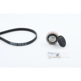 Jeu de courroies trapézoïdales à nervures CONTITECH