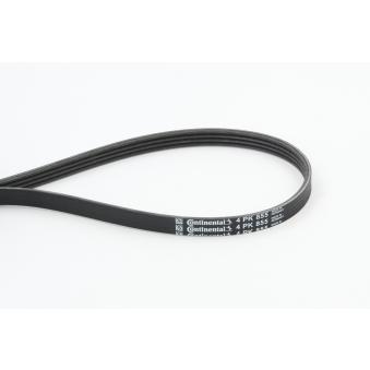 Courroie trapézoïdale à nervures CONTITECH