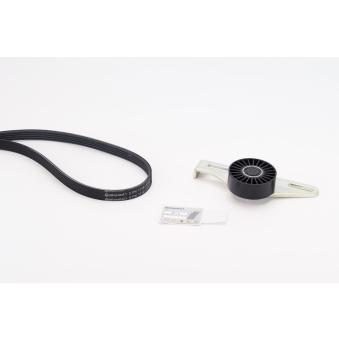 Jeu de courroies trapézoïdales à nervures CONTITECH