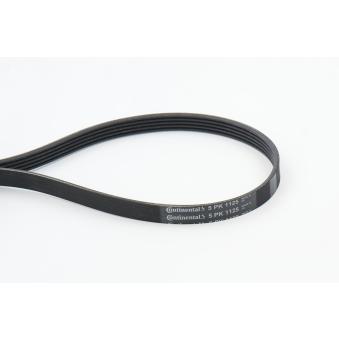 Courroie trapézoïdale à nervures CONTITECH 5PK1125