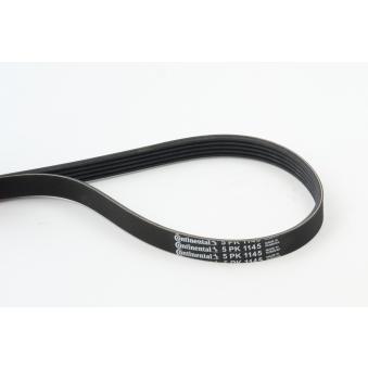 Courroie trapézoïdale à nervures CONTITECH