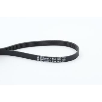 Courroie trapézoïdale à nervures CONTITECH