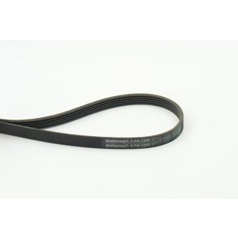 Courroie trapézoïdale à nervures CONTITECH