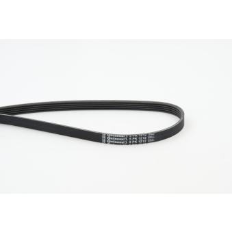 Courroie trapézoïdale à nervures CONTITECH 5PK1212