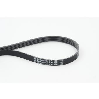 Courroie trapézoïdale à nervures CONTITECH