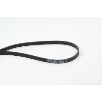 Courroie trapézoïdale à nervures CONTITECH