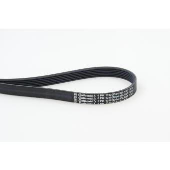 Courroie trapézoïdale à nervures CONTITECH 6PK1019 ELAST