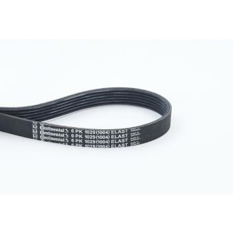 Courroie trapézoïdale à nervures CONTITECH