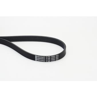 Courroie trapézoïdale à nervures CONTITECH 6PK1050