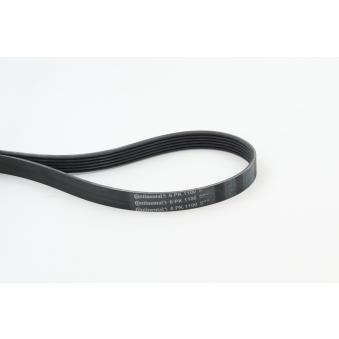 Courroie trapézoïdale à nervures CONTITECH