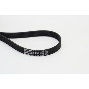 Courroie trapézoïdale à nervures CONTITECH