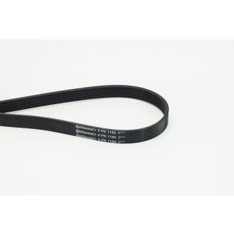 Courroie trapézoïdale à nervures CONTITECH