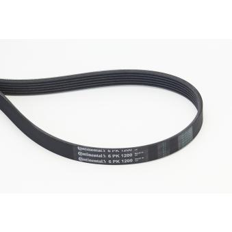 Courroie trapézoïdale à nervures CONTITECH