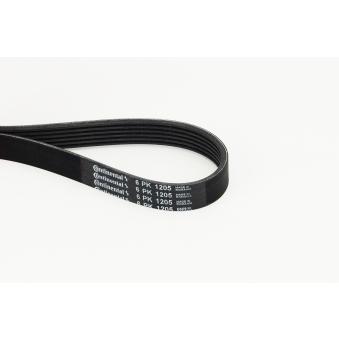 Courroie trapézoïdale à nervures CONTITECH