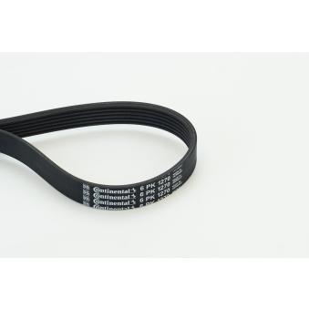 Courroie trapézoïdale à nervures CONTITECH