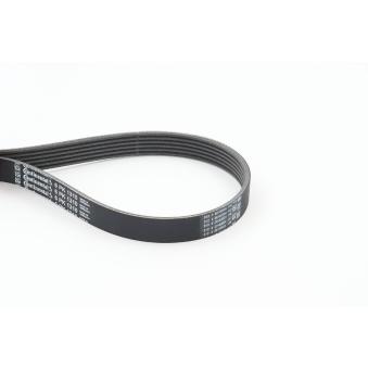 Courroie trapézoïdale à nervures CONTITECH 6PK1310
