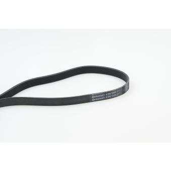 Courroie trapézoïdale à nervures CONTITECH 6PK1453