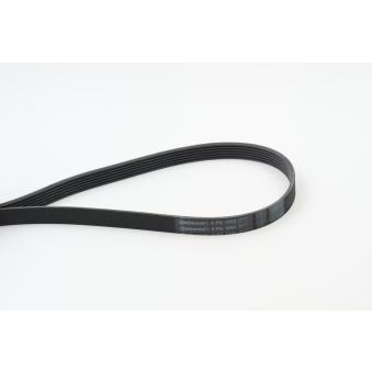 Courroie trapézoïdale à nervures CONTITECH